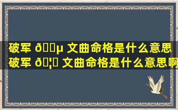 破军 🌵 文曲命格是什么意思「破军 🦊 文曲命格是什么意思啊」